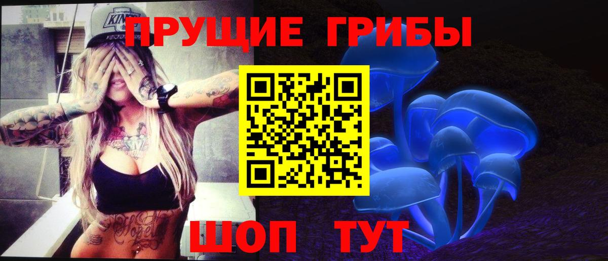 Галлюциногенные грибы GOLDEN TEACHER  купить закладку  Вход с VPN  Крымск  Галлюциногенные грибы Psilocybe 